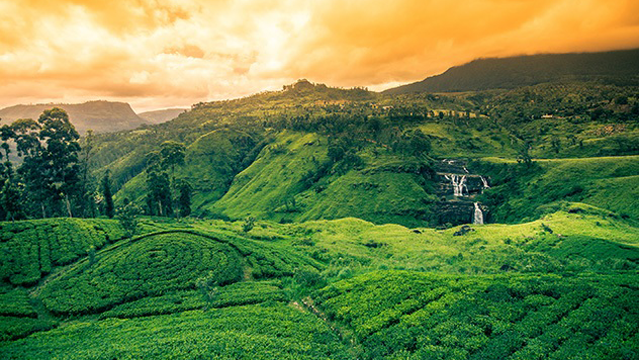nuwara eliya sri lanka