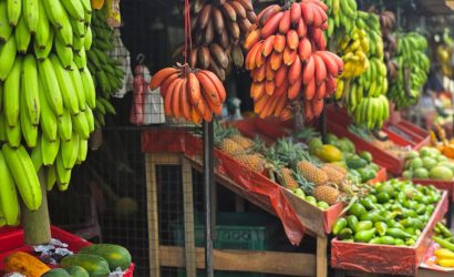 WhatsApp Image 2025-11-07 at 18.58.08_00855cf7